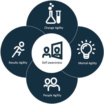 Learning agility dimensions model