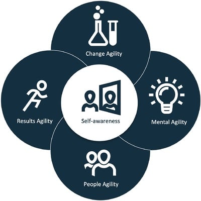 Learning agility dimensions model Learning agility dimensions model