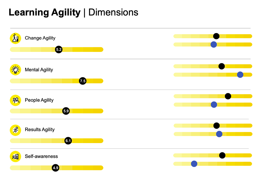 Example report showing how effective your organisational team is 