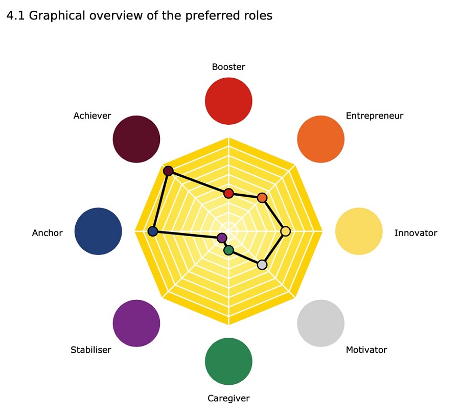 infographic showing preferred roles for job placement