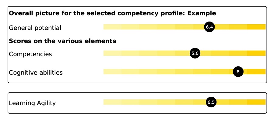 graphic showing how competent the potential employee is