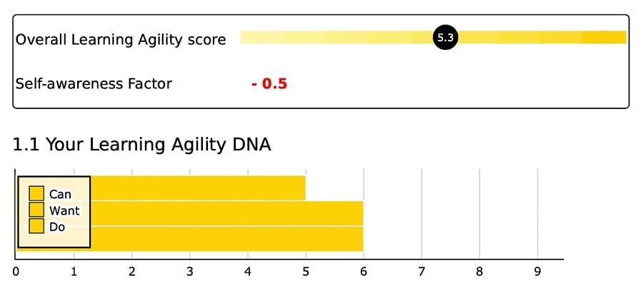sample learning agility score